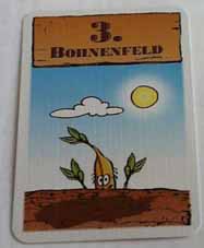 Das 3. Bohnenfeld